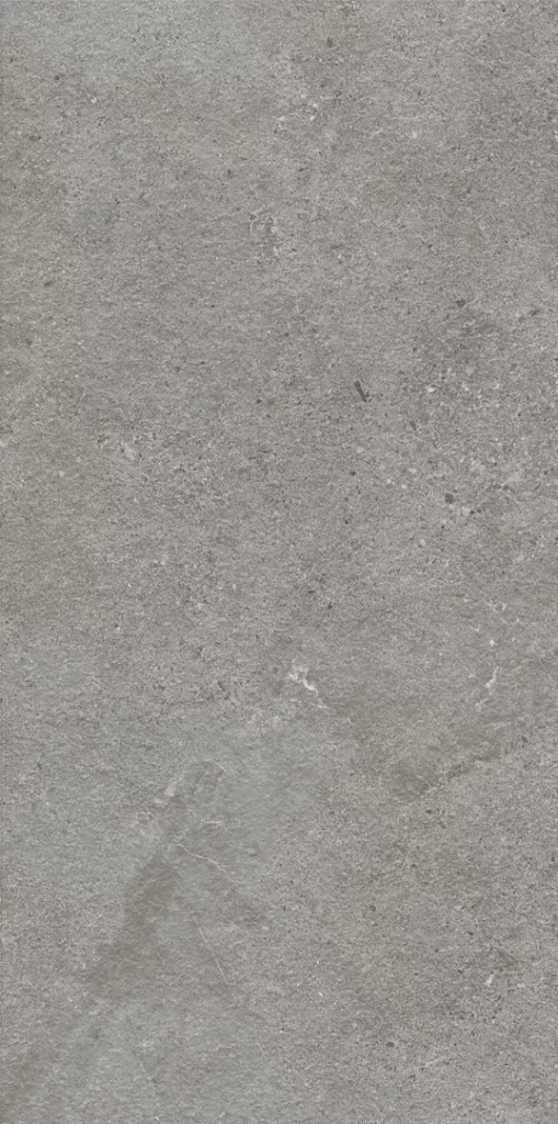 Authority Grey — płyta tarasowa 59,5 × 119,5 cm
