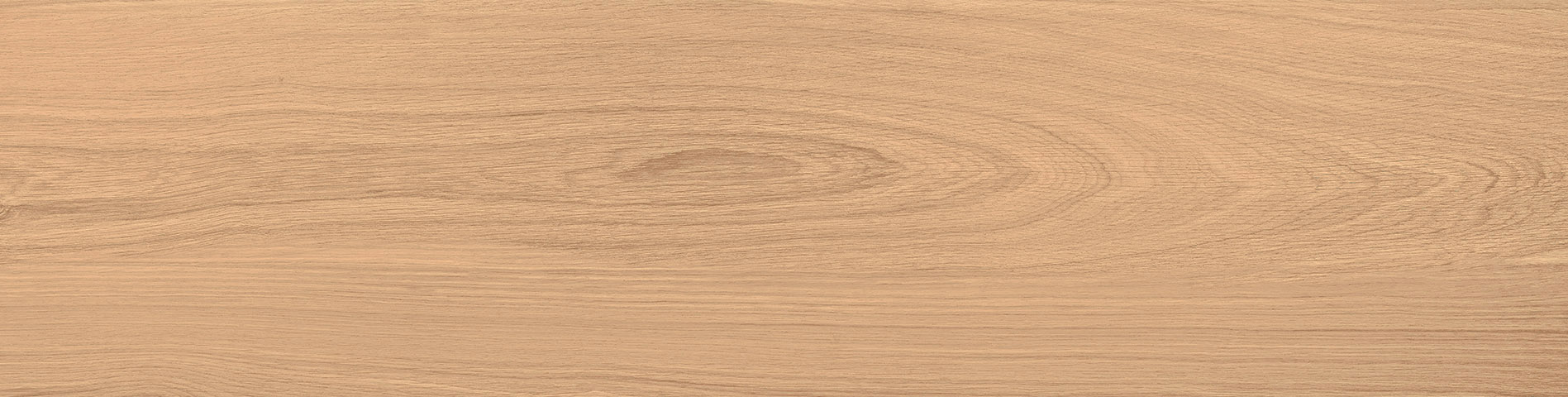 REI ALMOND MATT 2.0 30X120 (7)